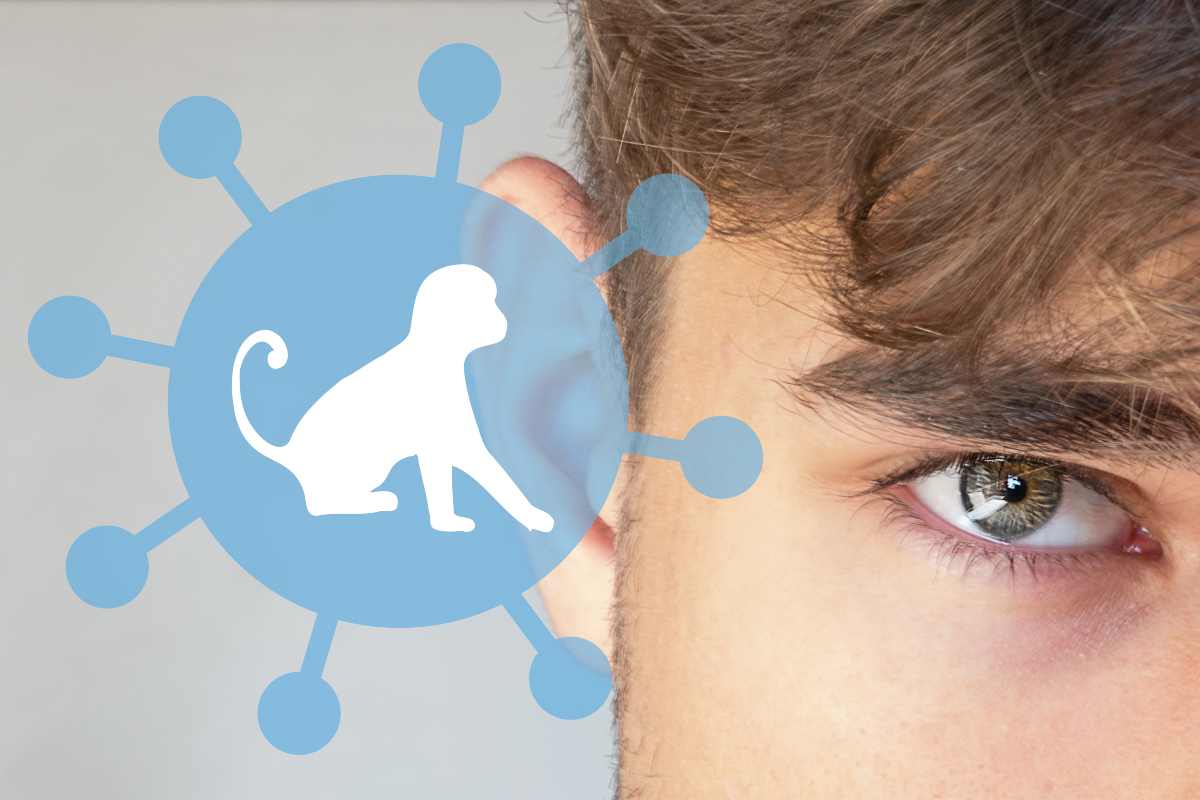 vaiolo delle scimmie ultim'ora