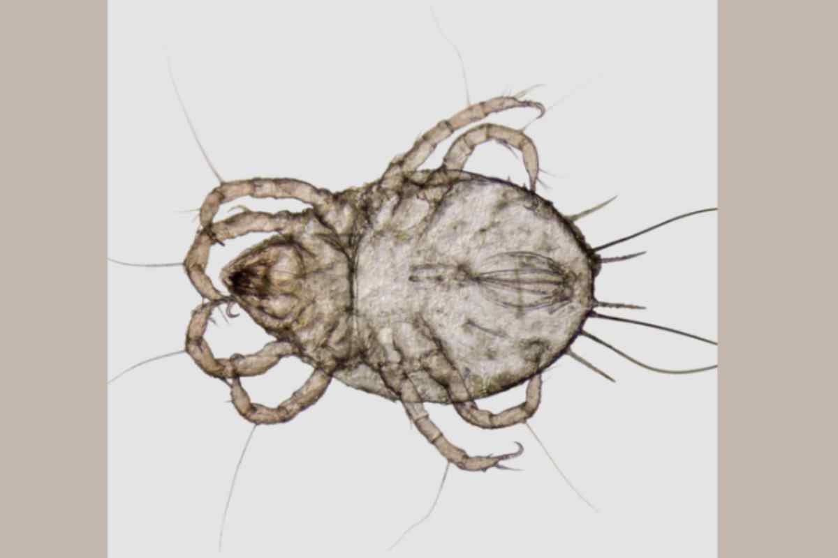 Il passaggio decisivo non è il singolo rimedio, ma la routine. Gli esperti insistono su alcuni comportamenti che fanno la differenza nel tempo.